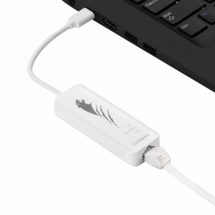 USB Type-C to 2.5G Gigabit Ethernet Adapter