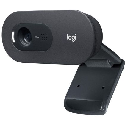 Web Cam with microphone LOGITECH C505, HD, USB2.0