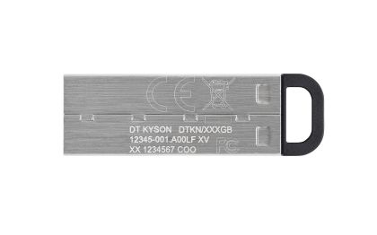 USB stick KINGSTON DataTraveler Kyson 256GB, USB 3.1, Silver