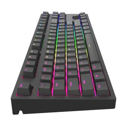 Mechanical Keyboard Dark Project KD87A Black TKL - G3MS Sapphire Switches, RGB, PBT Keycaps