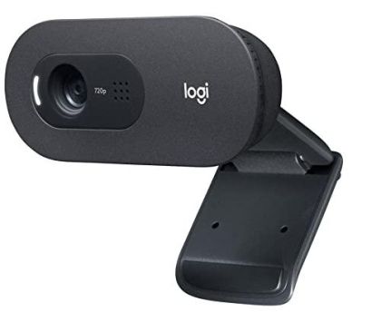 Web Cam with microphone LOGITECH C505e, HD, USB2.0