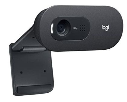 Web Cam with microphone LOGITECH C505e, HD, USB2.0