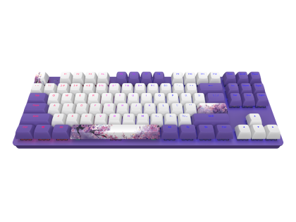 Gaming Mechanical Keyboard Dark Project 87 Violet Horizons RGB TKL - G3MS Sapphire Switches, ABS