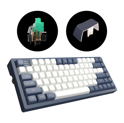 Gaming Mechanical Keyboard Dark Project KD83A Ivory/Navy Blue RGB 75% - G3MS Sapphire Switches, PBT