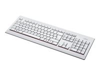 FUJITSU Keyboard KB521 BG KB521 USB USA BG standard keyboard US bulgarisch marble grey
