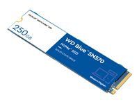 WD Blue SSD SN570 NVMe 250GB M.2 2280 PCIe Gen3 8Gb/s internal single-packed