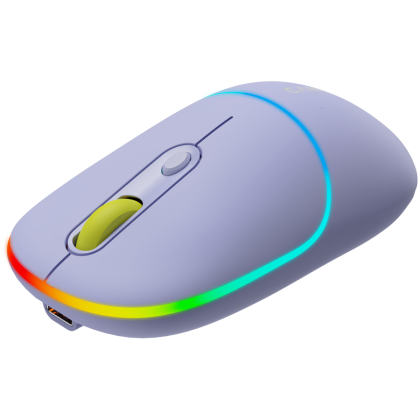 CANYON MW-22, 2 in 1 Wireless optical mouse with 4 buttons,Silent switch for right/left keys,DPI 800/1200/1600, 2 mode(BT/ 2.4GHz),  650mAh Li-poly battery,RGB backlight,Mountain lavender, cable length 0.8m, 110*62*34.2mm, 0.085kg