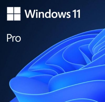 Sofware Microsoft Windows 11 Pro x64 ENG OEM