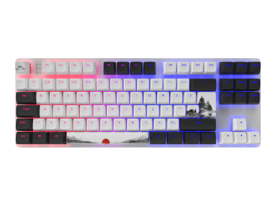 Gaming Mechanical Keyboard Dark Project 87 Fuji RGB TKL - G3MS Sapphire Switches, ABS