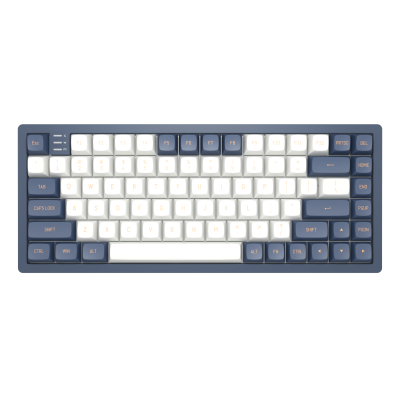 Gaming Mechanical Keyboard Dark Project KD83A Ivory/Navy Blue RGB 75% - G3MS Sapphire Switches, PBT