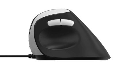 Ergonomic Optical Mouse RAPOO EV200, Black